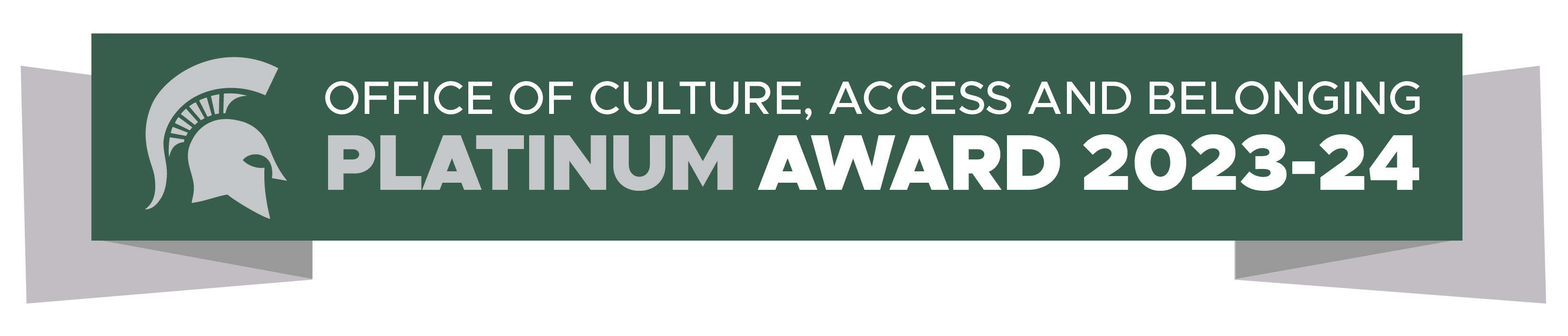 Culture Access and Belonging Award